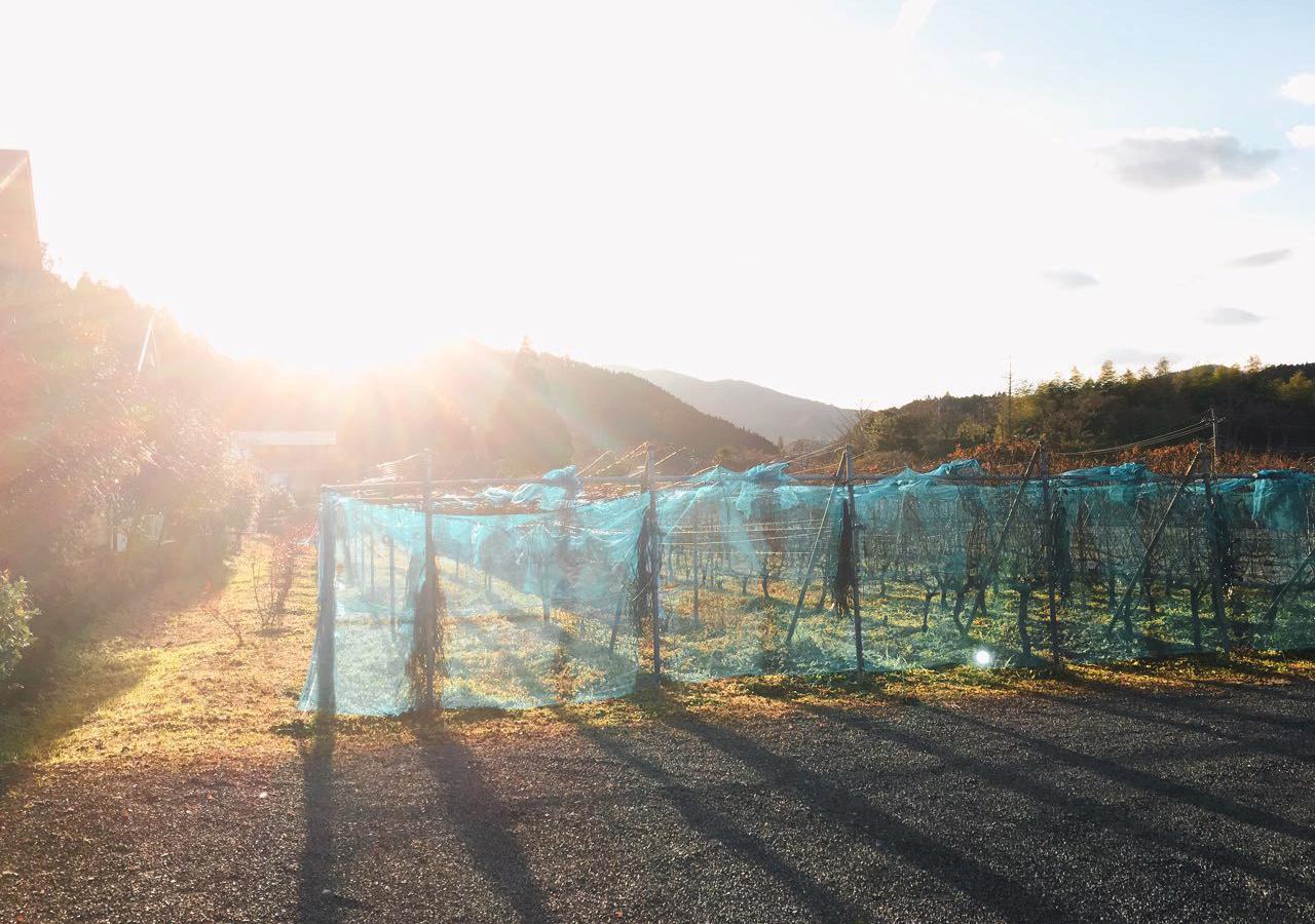 Yufuin Jiyu-Kan エクステリア 写真